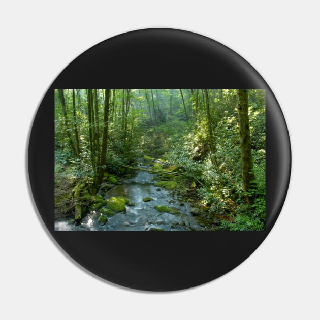 Cool forest stream Pin by dltphoto