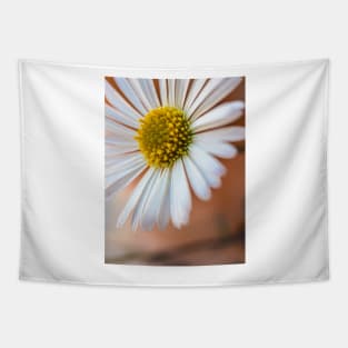 Daisies Tapestry