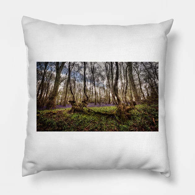 Bluebell Wood Pillow by Nigdaw