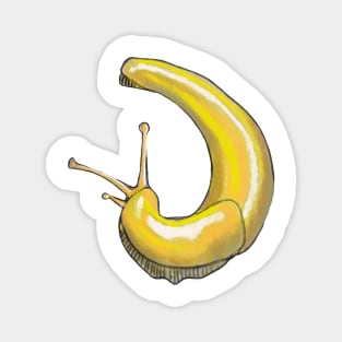 Banana Slug Magnet