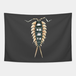 Porcellio expansus orange Isopod Tapestry