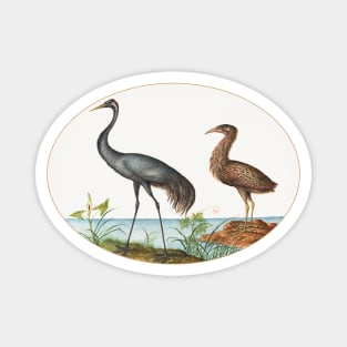 Crane and Bittern (1575–1580) Magnet