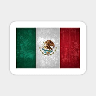 Mexican Flag Mask Magnet