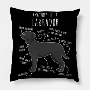 Black Labrador Retriever Dog Anatomy Pillow