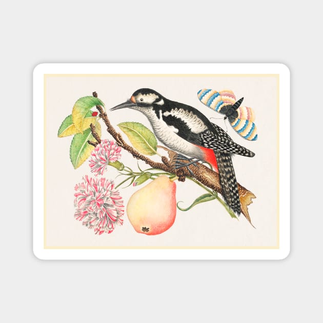 Bird Perched on a Branch with a Pear, Blossoms, and Leaves (18th Century) Magnet by WAITE-SMITH VINTAGE ART