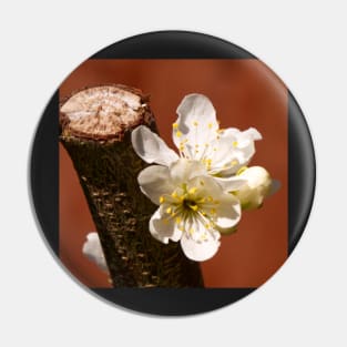 Plum Blossom Pin