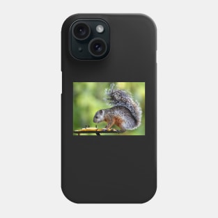 Variegated Squirrel Phone Case