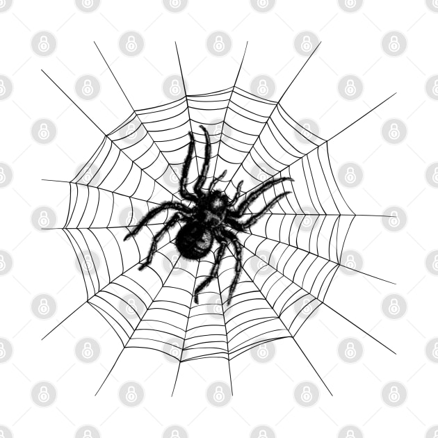 Spider Web Arachnophobia Bugs Halloween by Funny Stuff Club