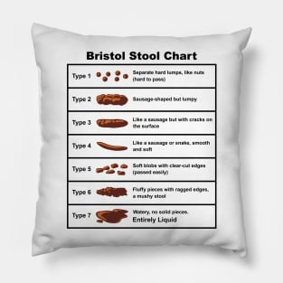 Bristol Stool Chart Pillow