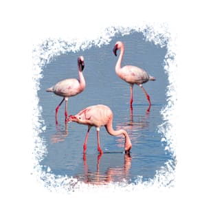 Flamingos in Kenya / Africa T-Shirt