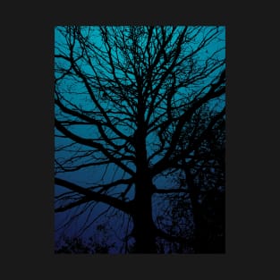 Tree silhouette on blue gradient background in the evening T-Shirt