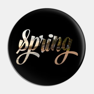 Spring! Pin