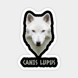 Canis Lupus Wolf Animalia Magnet