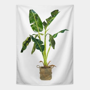 Banana plant Tapestry