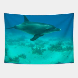 Dolphin Underwater Tapestry