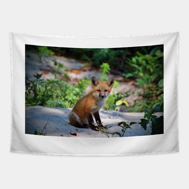 Red Fox Kit Tapestry by Cynthia48