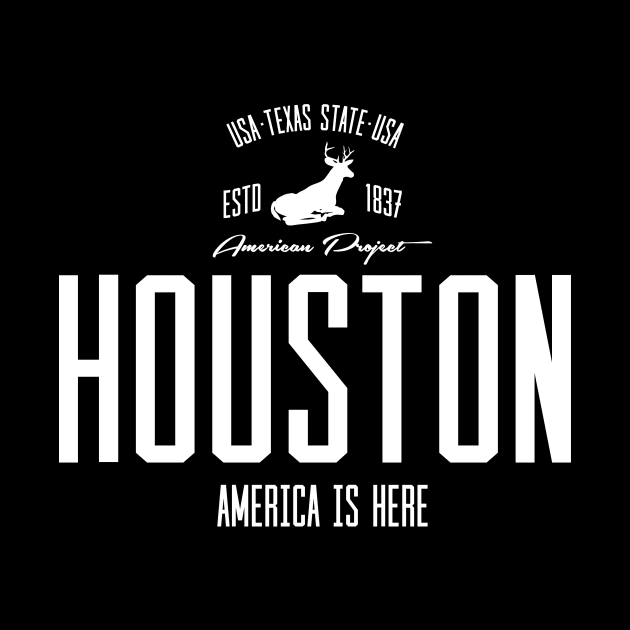 USA, America, Houston, Texas by NEFT PROJECT