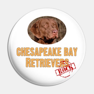 Chesapeake Bay Retrievers Rock! Pin