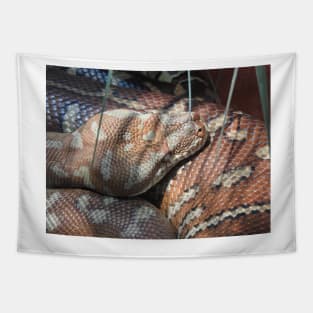 Centralian Carpet Python Tapestry