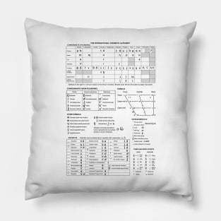 IPA Chart Pillow