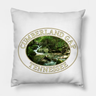 Mountain Stream in Cumberland Gap, Tennessee Pillow