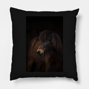 Out of the Darkness Pillow