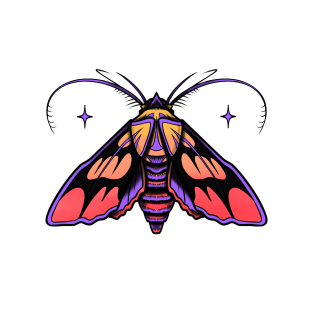 Galactic Moth T-Shirt