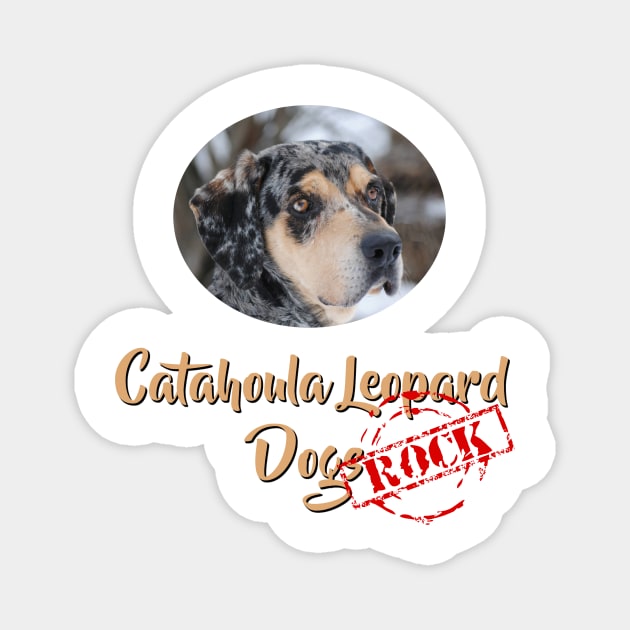 Catahoula Leopard Dogs Rock! Magnet by Naves