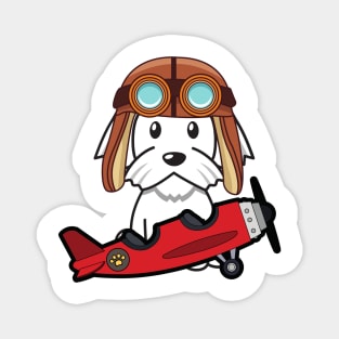 Cute white dog is in a vintage airplane Magnet