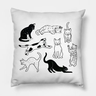 Cat Lover Pillow