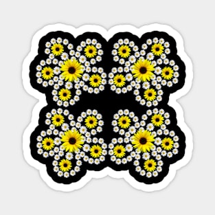 sunflowers daisies blossom floral daisy pattern Magnet