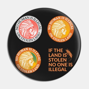 If the Land is Stolen No One is Illegal Multi Pin