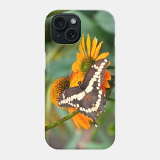 Brown and Cream Swallowtail Butterfly on Orange Coneflower Phone Case