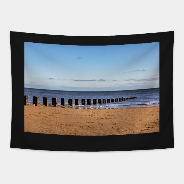 Bridlington Tapestry by jasminewang