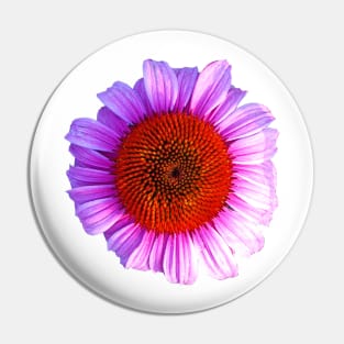 pink daisy outline Pin