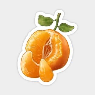 Florida Orange Magnet