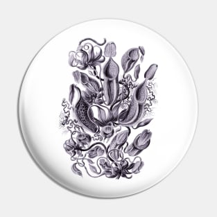 Ernst Haeckel Pitcher Plant Lavendar Pin