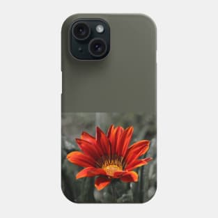 Red Gazania Flower Phone Case