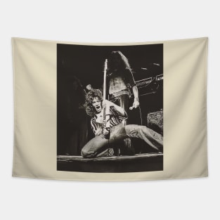 Eddie van halen tapestry hotsell