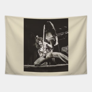 Authentic Van Halen Tapestry