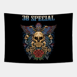 38 SPECIAL VTG Tapestry