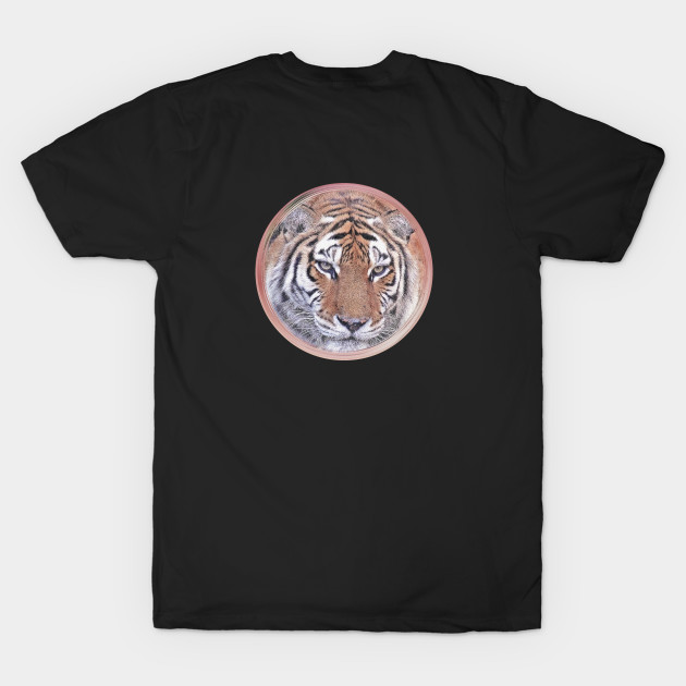 Discover Tiger Wild Animal Safari Africa Jungle Feline World Nature Earth - Tiger - T-Shirt