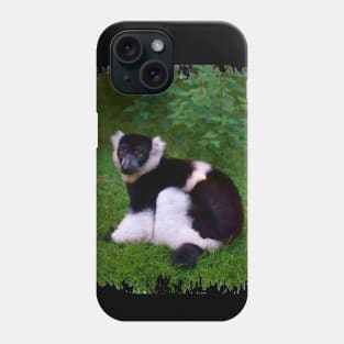 Black & White Ruffled Lemur Phone Case