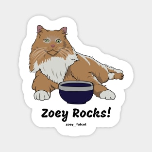 Zoey Rocks! Magnet