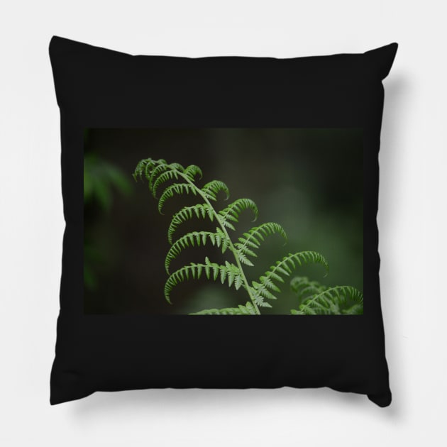 Fern- New Beginning Pillow by Whisperingpeaks