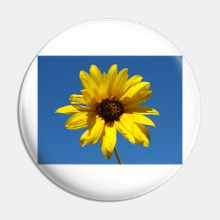 Sunflower Pin