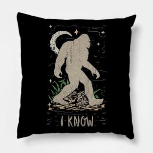 i know BIgfoot Pillow