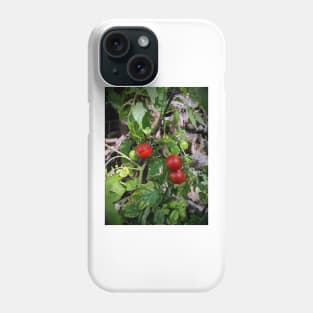 Tomatoes Phone Case