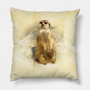 Meerkat Pillow