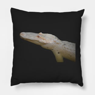 Albino Alligator Pillow